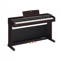 Yamaha YDP-145 R Digital Piano Rosenholz Sparpaket 