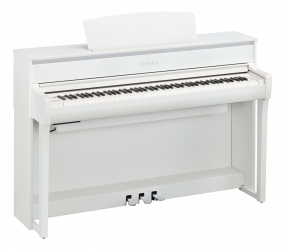 Musikzentrum Haas Digital Pianos Online Kaufen